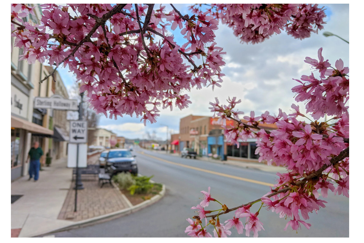 Downtown cedartown in the spring