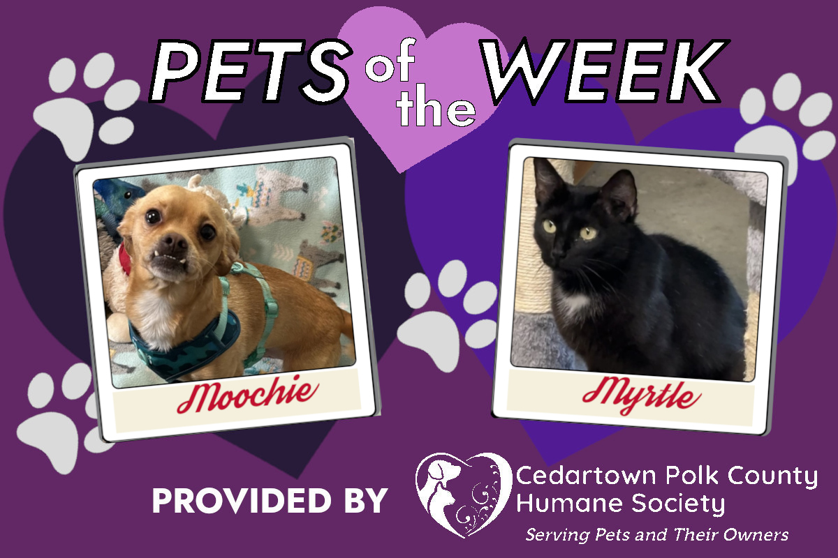 Humane Society Pets of the Week – May 17, 2025
